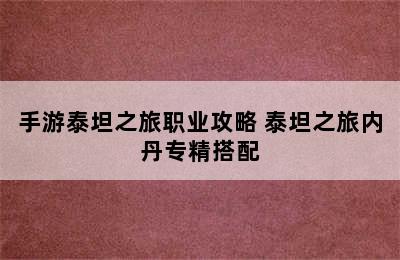 手游泰坦之旅职业攻略 泰坦之旅内丹专精搭配